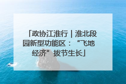 政协江淮行｜淮北段园新型功能区：“飞地经济”拔节生长