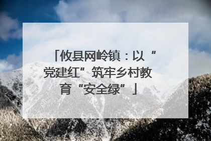 攸县网岭镇：以“党建红”筑牢乡村教育“安全绿”