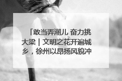 敢当弄潮儿 奋力挑大梁｜文明之花开遍城乡，徐州以昂扬风貌冲刺“万亿之城”