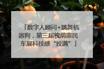 数字人顾问+跳舞机器狗，第三届槐荫惠民车展科技感“拉满”