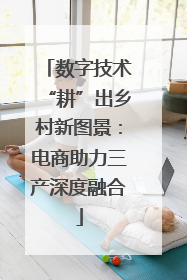 数字技术“耕”出乡村新图景：电商助力三产深度融合