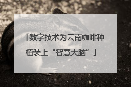 数字技术为云南咖啡种植装上“智慧大脑”