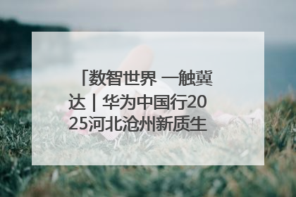 数智世界 一触冀达｜华为中国行2025河北沧州新质生产力峰会成功举办