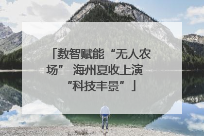 数智赋能“无人农场” 海州夏收上演“科技丰景”