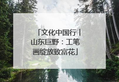 文化中国行丨山东巨野：工笔画绽放致富花