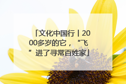 文化中国行丨2000多岁的它，“飞”进了寻常百姓家