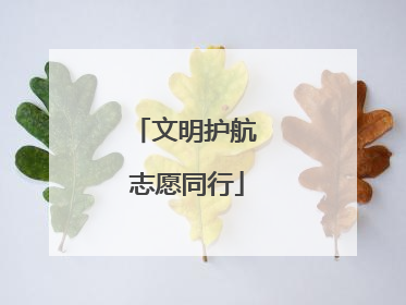 文明护航 志愿同行