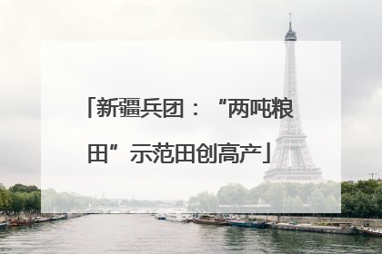 新疆兵团：“两吨粮田”示范田创高产