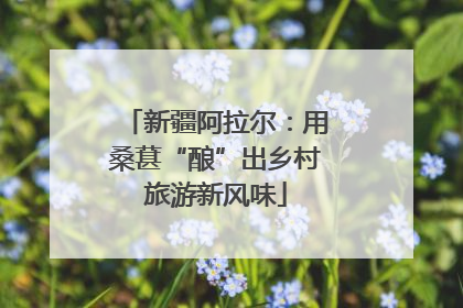新疆阿拉尔：用桑葚“酿”出乡村旅游新风味