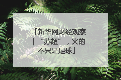 新华网财经观察｜“苏超”，火的不只是足球