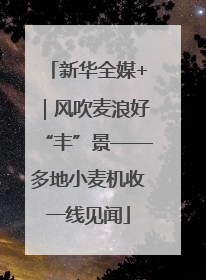 新华全媒+｜风吹麦浪好“丰”景——多地小麦机收一线见闻