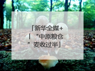 新华全媒+丨“中原粮仓”麦收过半