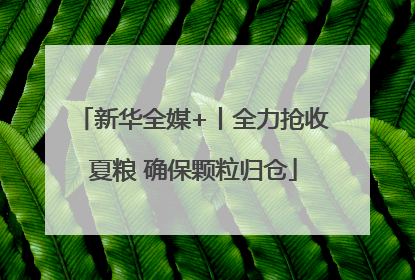 新华全媒+丨全力抢收夏粮 确保颗粒归仓
