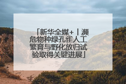 新华全媒+丨濒危物种绿孔雀人工繁育与野化放归试验取得关键进展