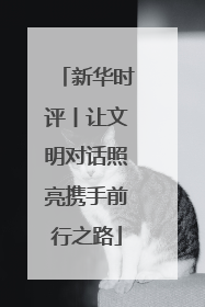 新华时评丨让文明对话照亮携手前行之路