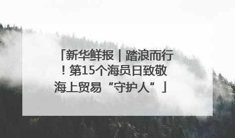 新华鲜报｜踏浪而行！第15个海员日致敬海上贸易“守护人”