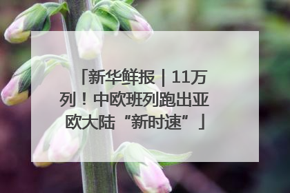 新华鲜报｜11万列！中欧班列跑出亚欧大陆“新时速”