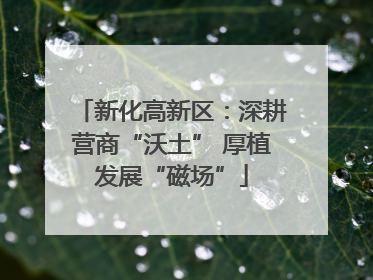 新化高新区：深耕营商“沃土” 厚植发展“磁场”