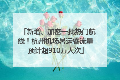新增、加密一批热门航线！杭州机场暑运客流量预计超910万人次