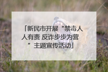 新民市开展“禁毒人人有责 反诈步步为营”主题宣传活动