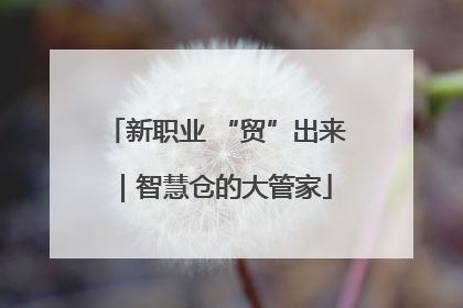 新职业 “贸”出来｜智慧仓的大管家
