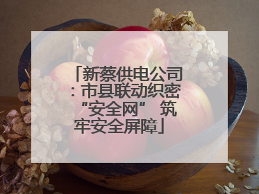 新蔡供电公司：市县联动织密“安全网” 筑牢安全屏障