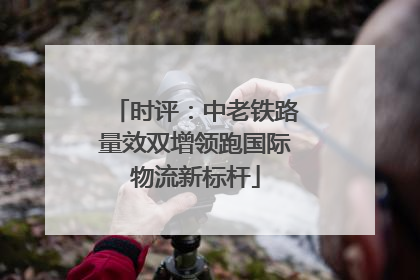 时评：中老铁路量效双增领跑国际物流新标杆