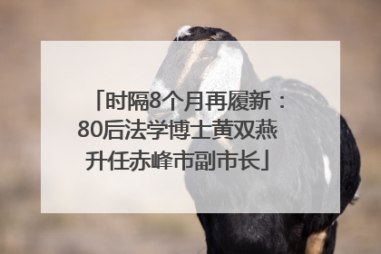 时隔8个月再履新：80后法学博士黄双燕升任赤峰市副市长