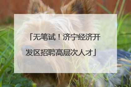 无笔试！济宁经济开发区招聘高层次人才