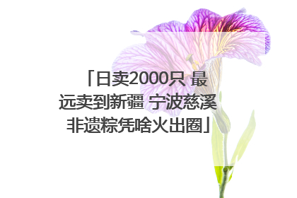 日卖2000只 最远卖到新疆 宁波慈溪非遗粽凭啥火出圈