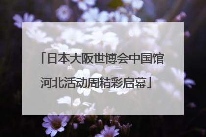 日本大阪世博会中国馆河北活动周精彩启幕