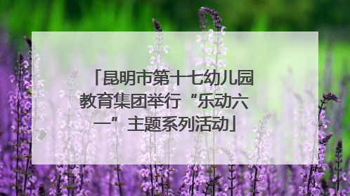 昆明市第十七幼儿园教育集团举行“乐动六一”主题系列活动