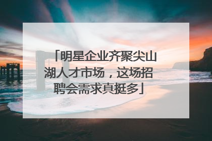 明星企业齐聚尖山湖人才市场，这场招聘会需求真挺多