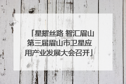 星耀丝路 智汇眉山 第三届眉山市卫星应用产业发展大会召开