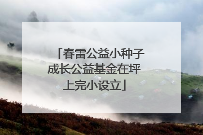 春雷公益小种子成长公益基金在坪上完小设立