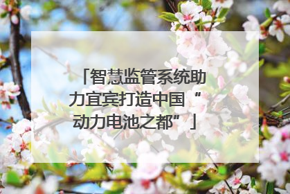 智慧监管系统助力宜宾打造中国“动力电池之都”
