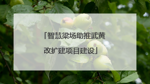 智慧梁场助推武黄改扩建项目建设