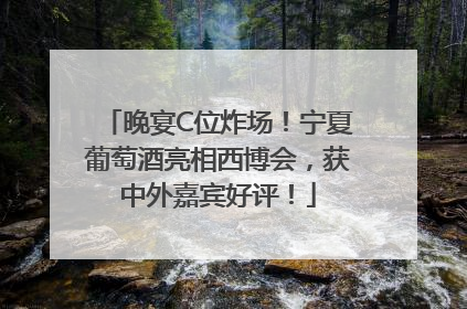 晚宴C位炸场！宁夏葡萄酒亮相西博会，获中外嘉宾好评！