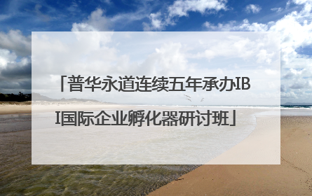 普华永道连续五年承办IBI国际企业孵化器研讨班