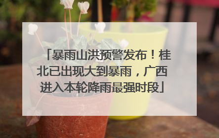 暴雨山洪预警发布！桂北已出现大到暴雨，广西进入本轮降雨最强时段