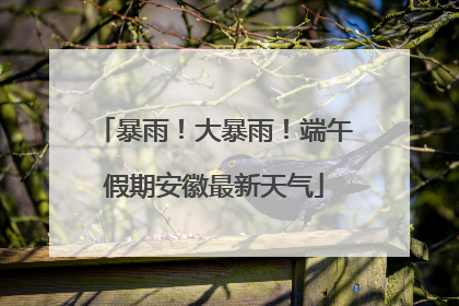 暴雨！大暴雨！端午假期安徽最新天气