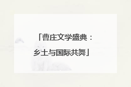 曹庄文学盛典：乡土与国际共舞
