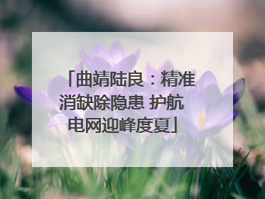 曲靖陆良：精准消缺除隐患 护航电网迎峰度夏