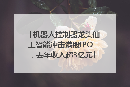 机器人控制器龙头仙工智能冲击港股IPO，去年收入超3亿元