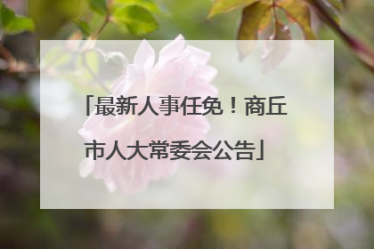 最新人事任免！商丘市人大常委会公告