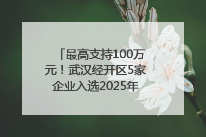 最高支持100万元！武汉经开区5家企业入选2025年度武汉市重点研发计划拟立项项目名单