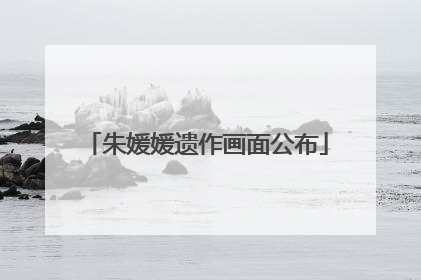 朱媛媛遗作画面公布