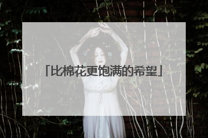 比棉花更饱满的希望