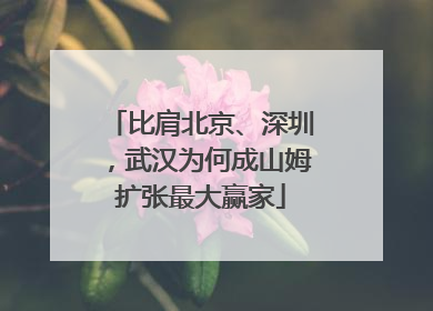 比肩北京、深圳，武汉为何成山姆扩张最大赢家