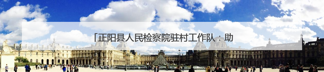 正阳县人民检察院驻村工作队：助力“三夏”生产 确保粮食安全
